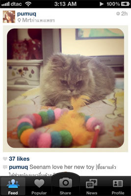 Instagram