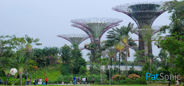 สวนพฤกษศาสตร์แห่งใหม่ของสิงคโปร์ - Garden by the Bay - Singapore