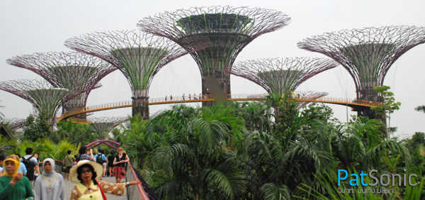 สวนพฤกษศาสตร์แห่งใหม่ของสิงคโปร์ - Garden by the Bay - Singapore