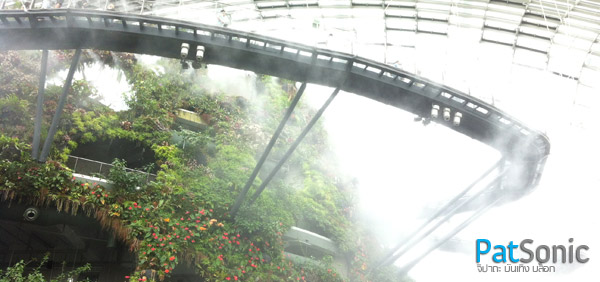ภายใน Cloud Forest Dome - Garden by the Bay - Singapore