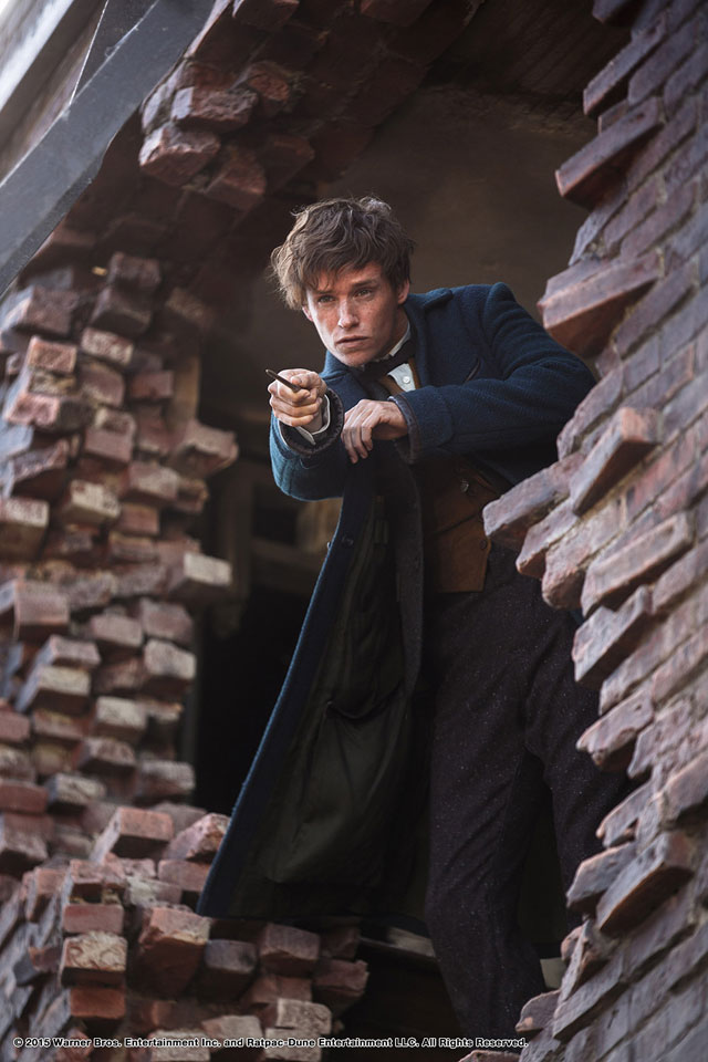 Eddie Redmayne ใน Fantastic Beasts and Where to Find Them