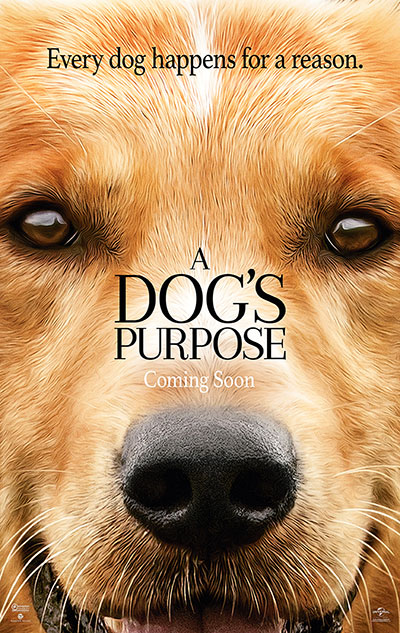 movie poster of A Dog's Purpose