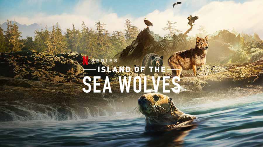 ซีรีส์สารคดี Island of the Sea Wolves