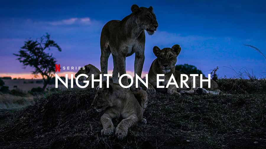 ซีรีส์สารคดี เรื่อง Night on Earth ทาง Netflix