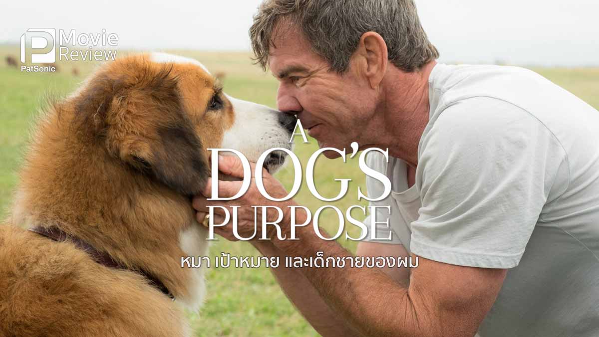 รีวิว A Dog's Purpose หมา เป้าหมาย และเด็กชายของผม | หนังหมาระลึกชาติ