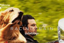 รีวิว The Art of Racing in the Rain | อุ่นไอหัวใจตูบ
