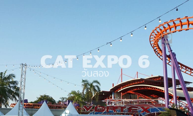ชมภาพบรรยากาศ! เที่ยวงาน Cat Expo 6 วันที่สอง