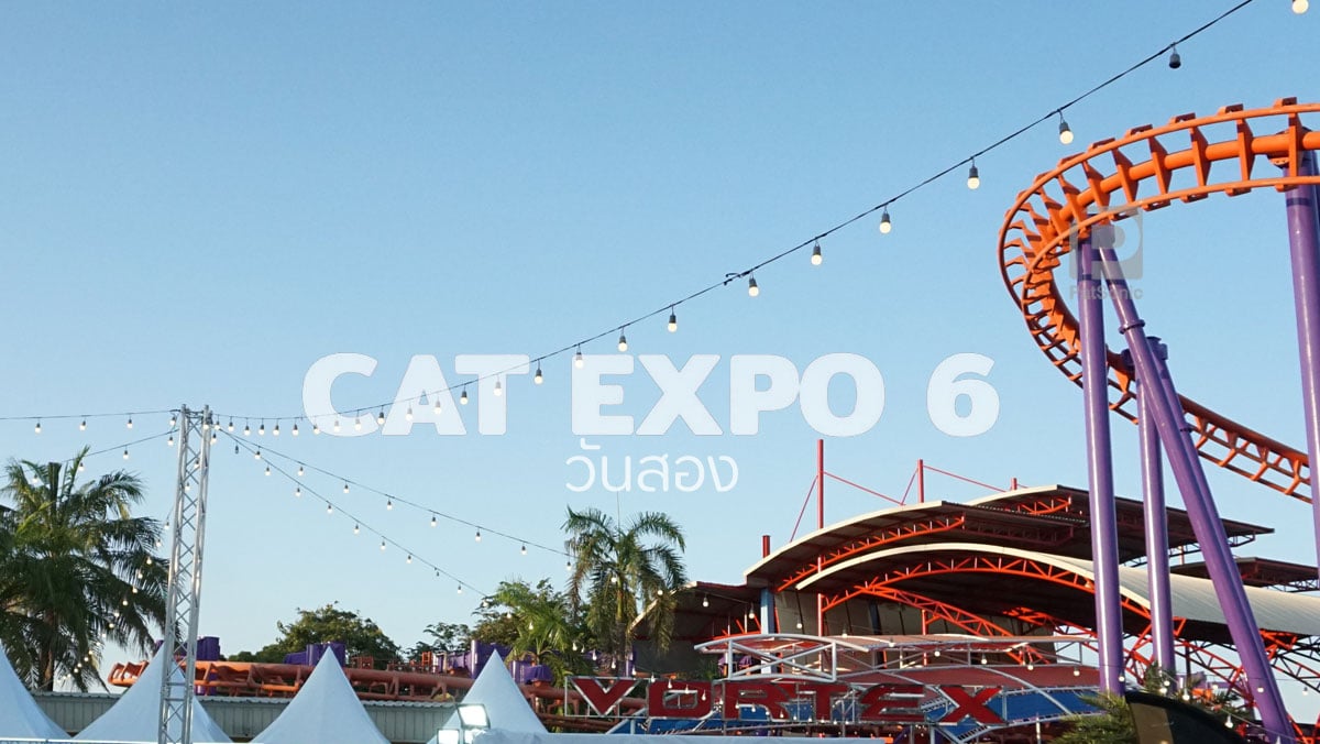 ชมภาพบรรยากาศ! เที่ยวงาน Cat Expo 6 วันที่สอง