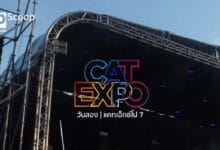 Cat Expo 7 | เดย์ทู วันที่สองของงานแคทเอ็กซ์โป 7