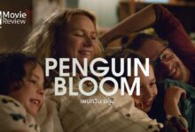 รีวิว Penguin Bloom เพนกวิน บลูม | นกกางเขนผู้เป็นแรงบันดาลใจ