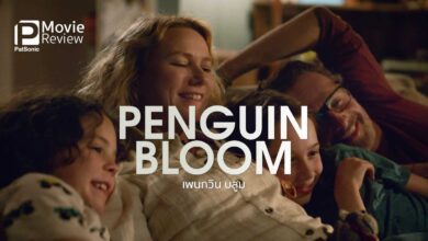 รีวิว Penguin Bloom เพนกวิน บลูม | นกกางเขนผู้เป็นแรงบันดาลใจ