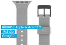 เลือกสาย Apple Watch ยังไงให้เข้ามือต้องดูที่นี่!