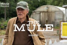 รีวิวหนัง The Mule | คุณตาสุดชิล ขับรถขนยาร้อยไมล์