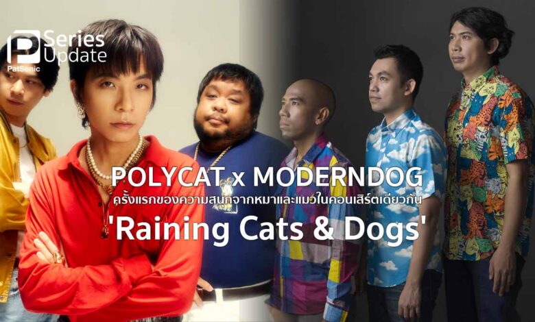 Polycat x Moderndog ครั้งแรกของหมาและแมวบนเวทีเดียวกัน คอนเสิร์ต Raining Cats & Dogs