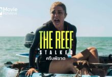รีวิวหนัง The Reef: Stalked ครีบพิฆาต
