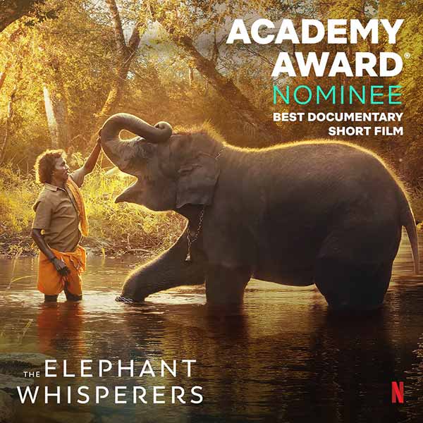 The Elephant Whisperers มีให้ชมทาง Netflix